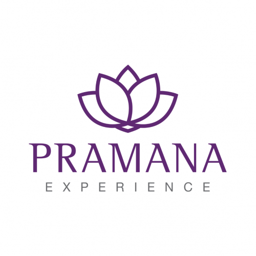 Pramana Experience