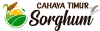 Sorghum Cahaya Timur