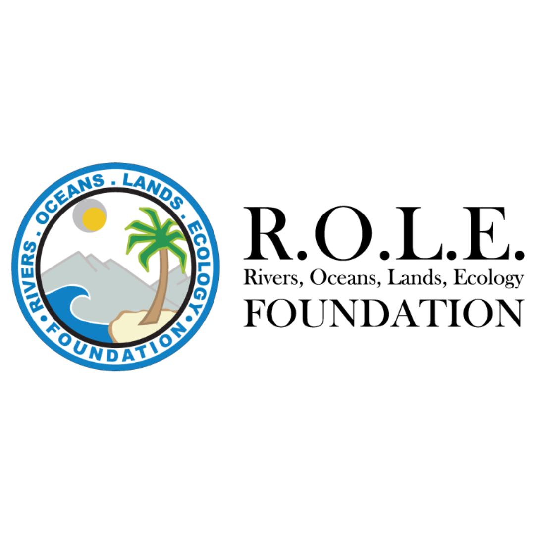 R.O.L.E Foundation
